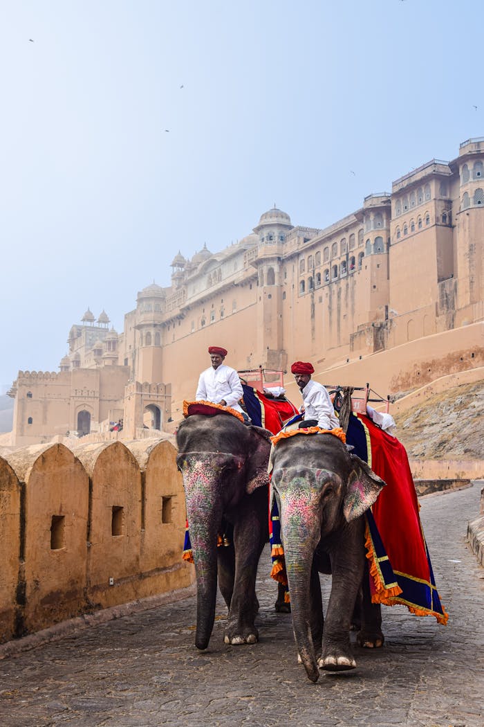 services-03 Men in traditional attire riding elephants at Amber Fort, Jaipur, India, showcasing cultural heritage.